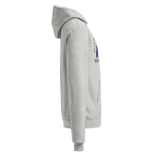 Unisex Champion hoodie - Image 4
